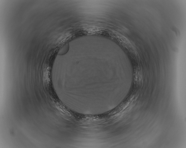 X0000111201346200907221121