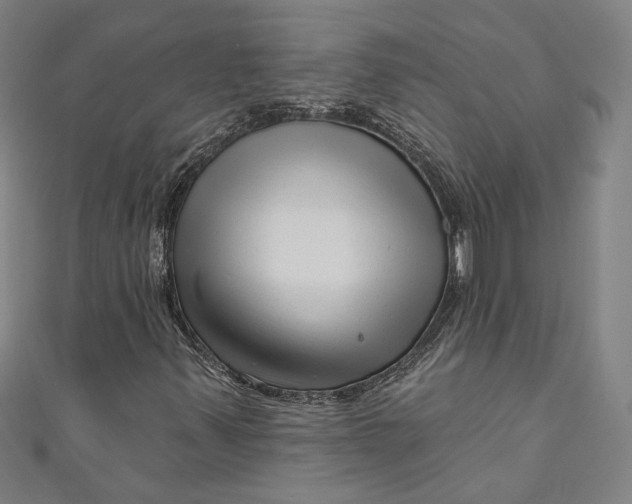 X0000111201347200907221121