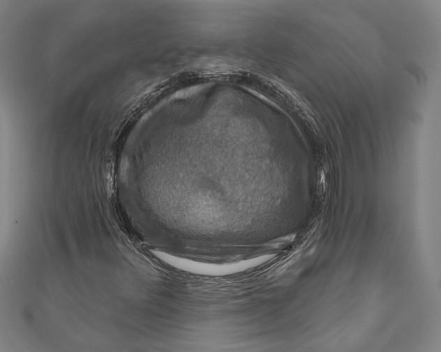 X0000111201348200907221121