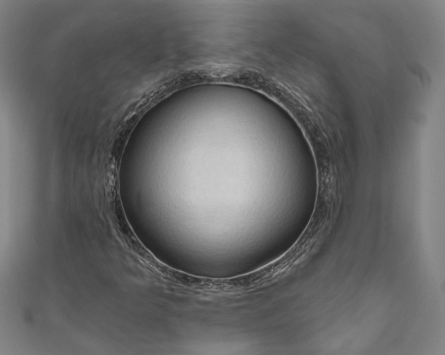 X0000111201349200907221121