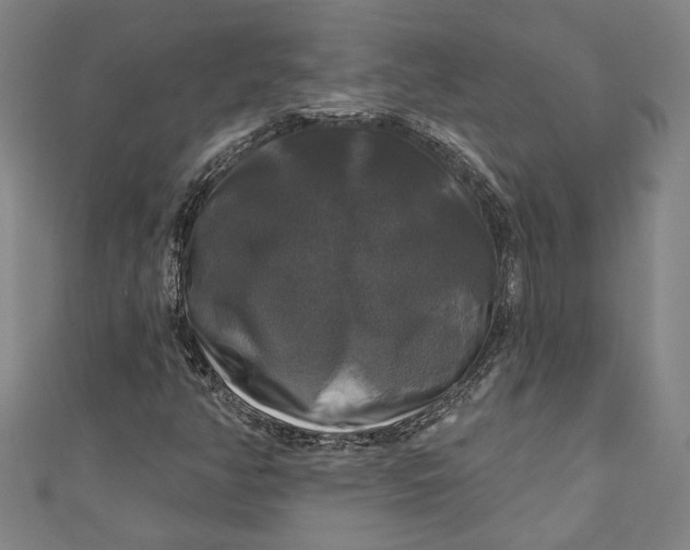 X0000111201350200907221121