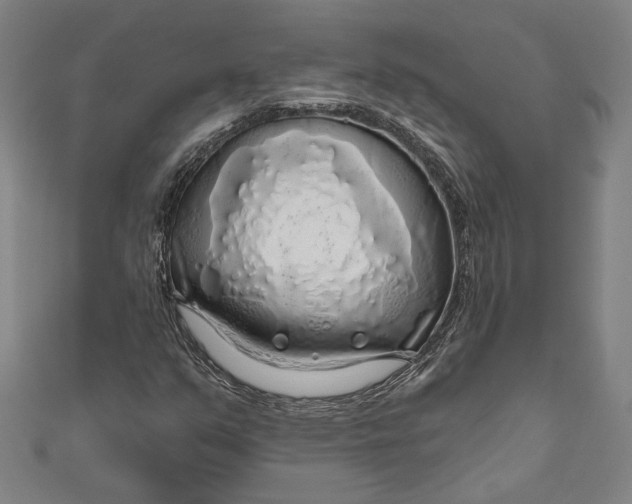 X0000111201351200907221121