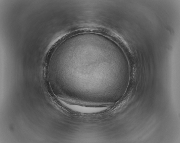 X0000111201352200907221121