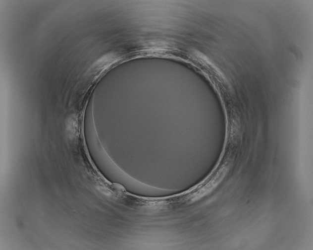 X0000111201353200907221121