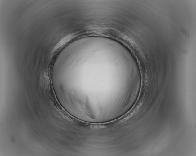 X0000111201354200907221121