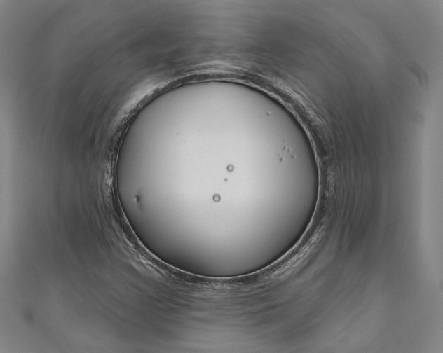 X0000111201355200907221121