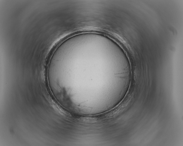 X0000111201356200907221121