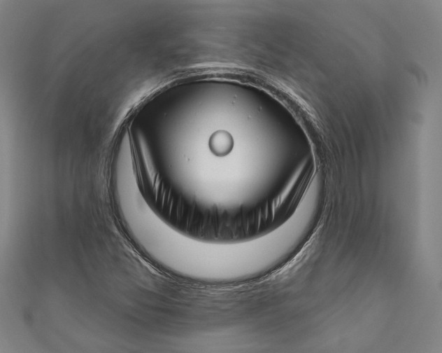 X0000111201357200907221121