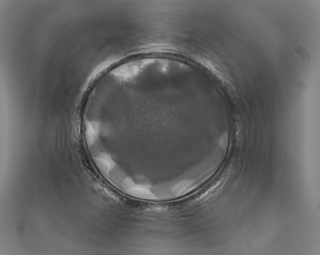 X0000111201358200907221121