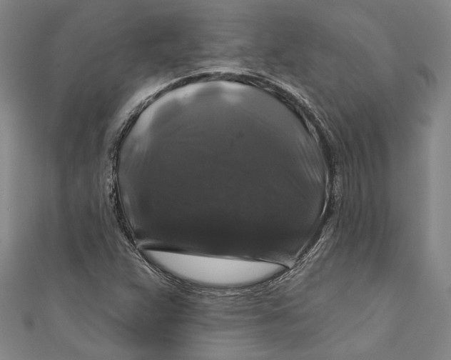 X0000111201359200907221121