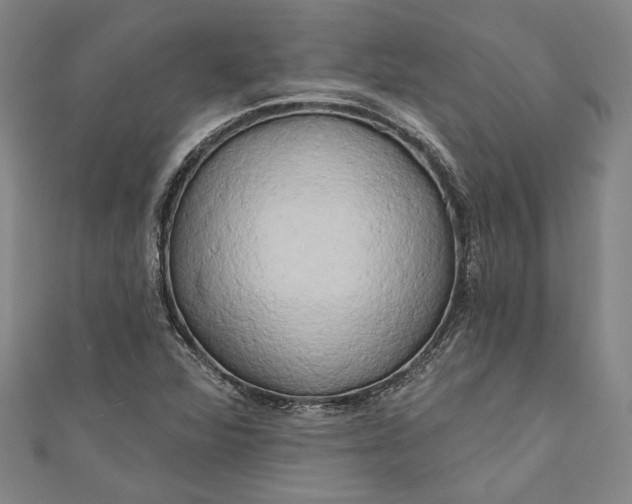 X0000111201360200907221121