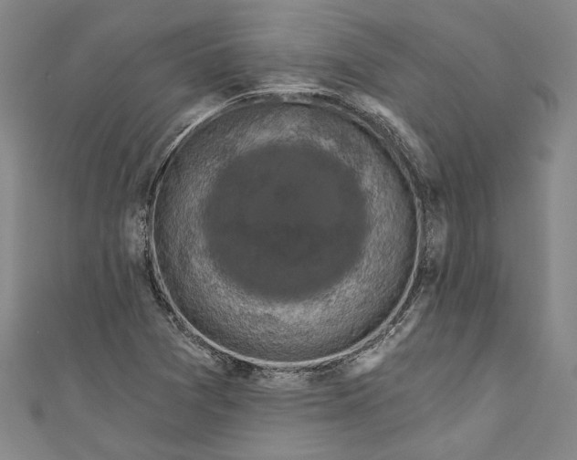 X0000111201361200907221121