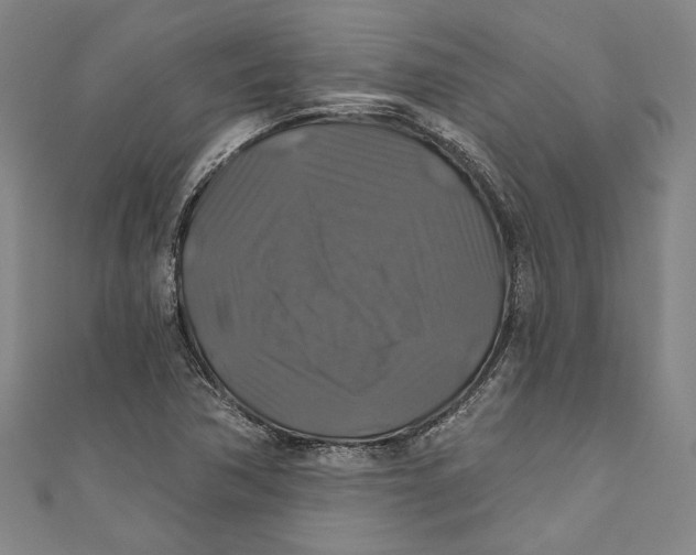 X0000111201362200907221121