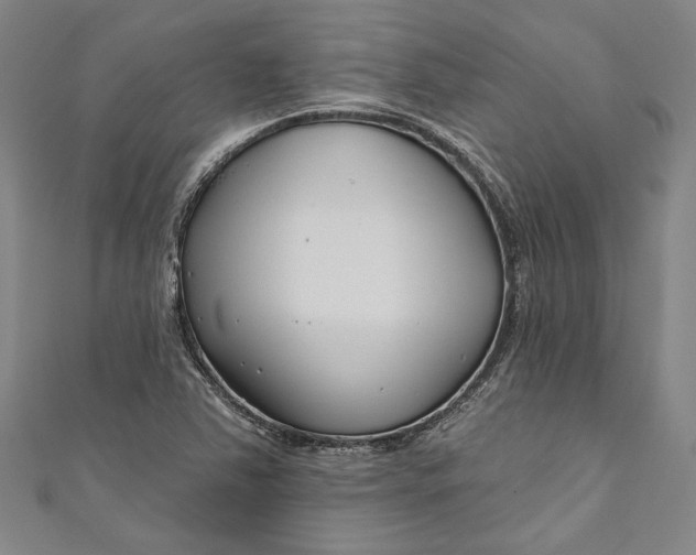 X0000111201363200907221121