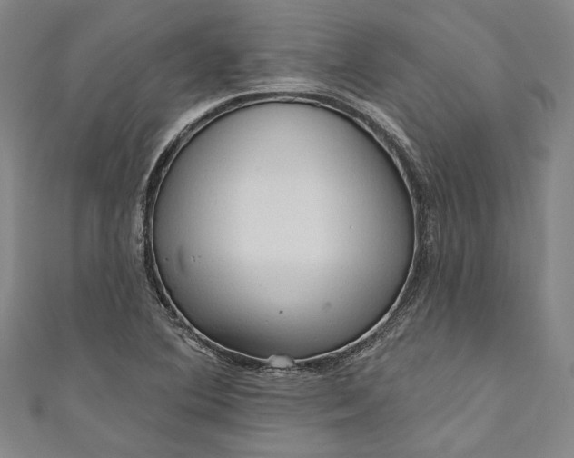 X0000111201364200907221121