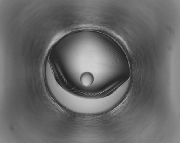 X0000111201365200907221121