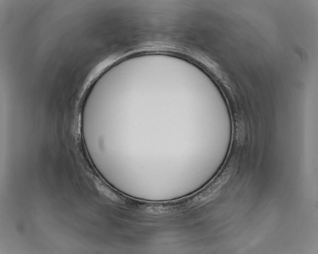 X0000111201366200907221121