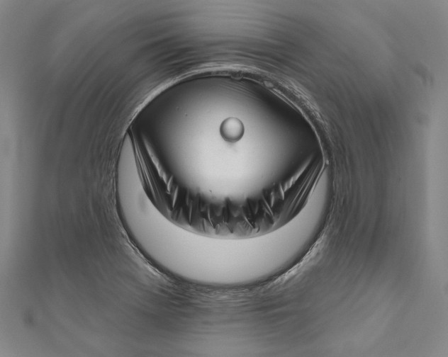 X0000111201369200907221121