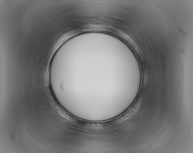 X0000111201370200907221121