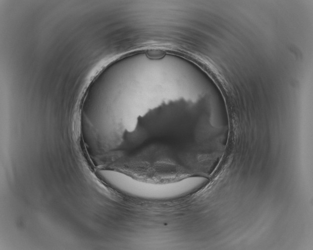 X0000111201371200907221121