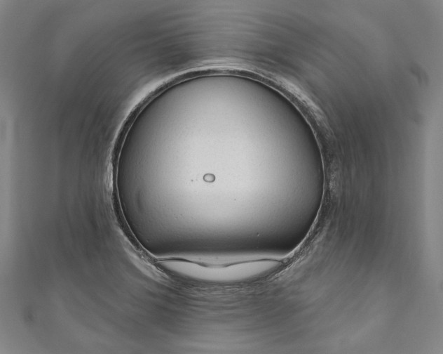 X0000111201372200907221121