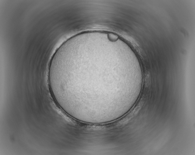 X0000111201374200907221121