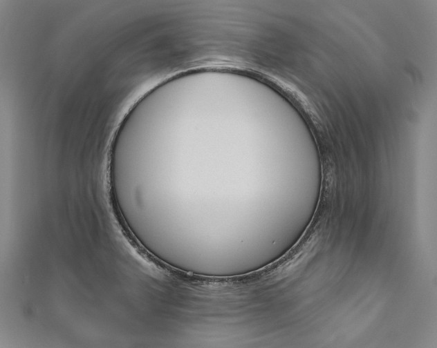 X0000111201375200907221121