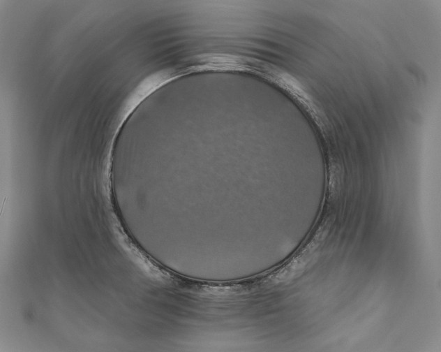 X0000111201378200907221121