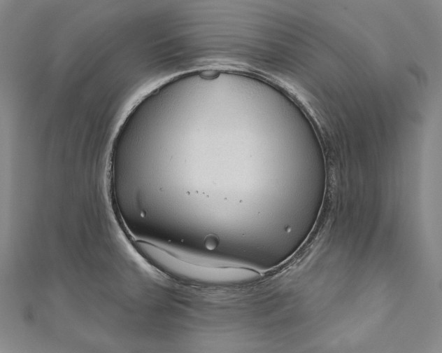 X0000111201379200907221121