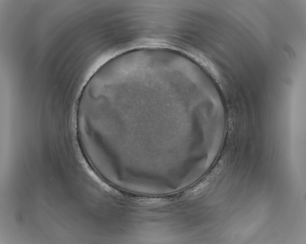 X0000111201382200907221121