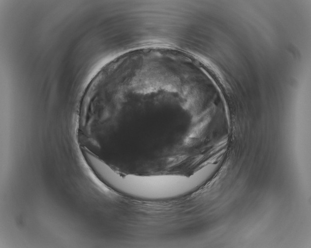 X0000111201383200907221121