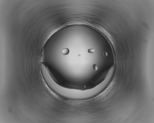 X0000111201385200907221121