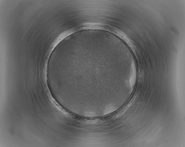 X0000111201386200907221121