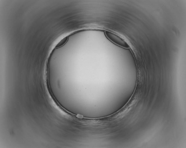 X0000111201387200907221121