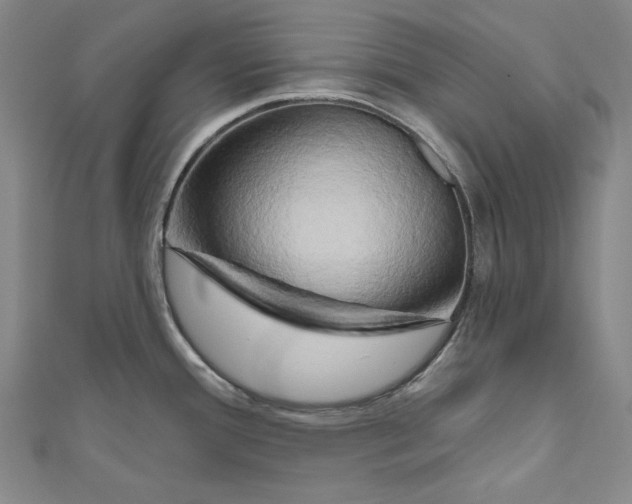 X0000111201388200907221121