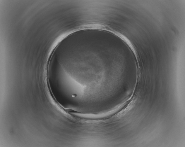 X0000111201389200907221121