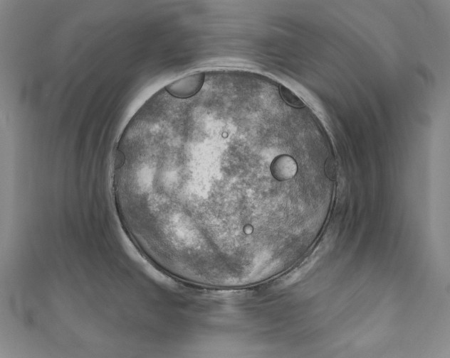 X0000111201390200907221121