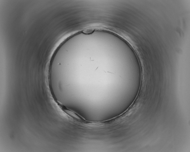 X0000111201392200907221121