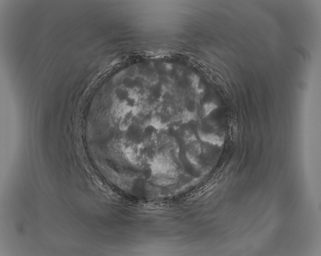 X0000111201393200907221120