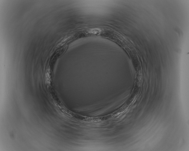 X0000111201394200907221120