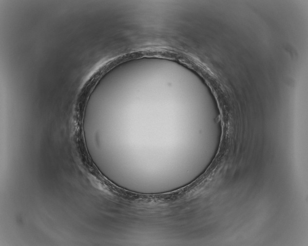 X0000111201400200907221120