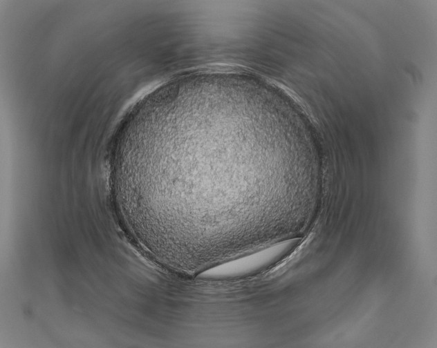 X0000111201402200907221120