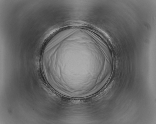 X0000111201407200907221120