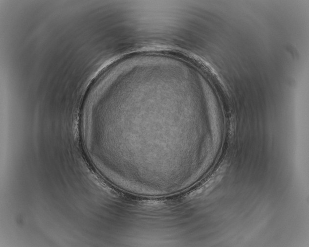 X0000111201409200907221120