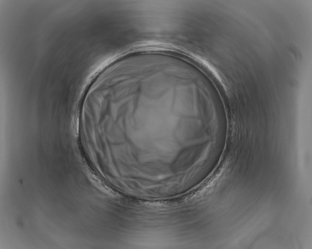 X0000111201413200907221121