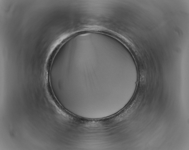 X0000111201414200907221121