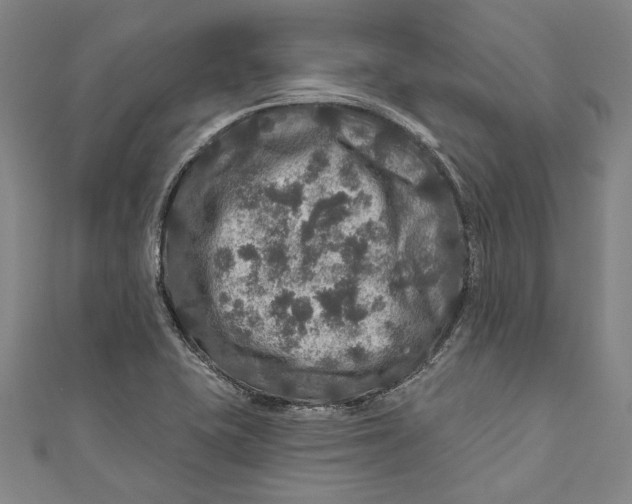 X0000111201415200907221121