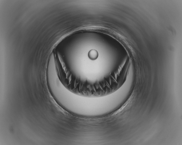 X0000111201417200907221121