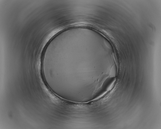 X0000111201418200907221121