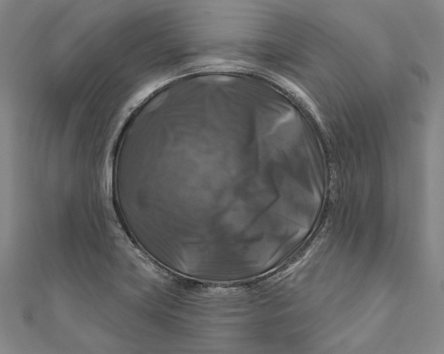 X0000111201419200907221121